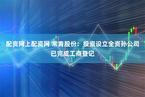 配资网上配资网 常青股份：投资设立全资孙公司已完成工商登记